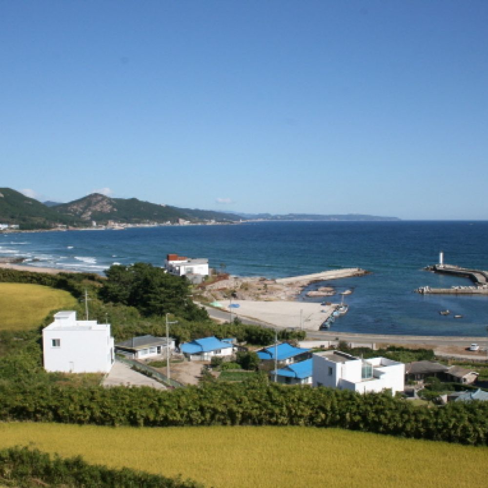 주간전경